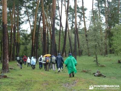 Lagunas de Neila;bastones de senderismo;rutas navacerrada;viajes en noviembre